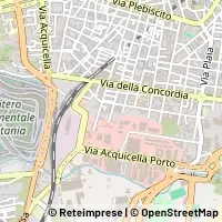 Peta Catania