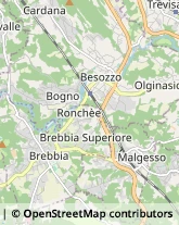 Osterie e Trattorie Besozzo,21023Varese