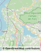 Biciclette - Dettaglio e Riparazione Ispra,21027Varese