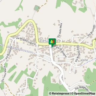 Mappa Via Magnaboschi, 9, 36010 Cesuna VI, Italia, 36010 Roana, Vicenza (Veneto)