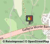 Osterie e Trattorie,23851Lecco