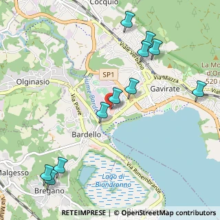 Mappa Viale Ticino 82 c, 21026 Gavirate VA, Italia (1.2)