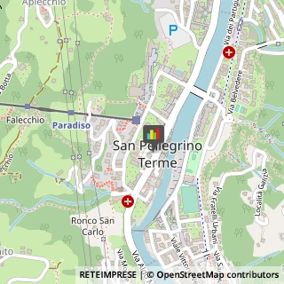 Consulenza alle Imprese e agli Enti Pubblici San Pellegrino Terme,24016Bergamo