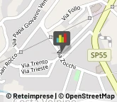 Pelletterie - Ingrosso e Produzione,24062Bergamo