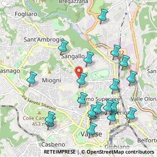 Mappa Via dei Carantani, 21100 Varese VA, Italia (1.21)
