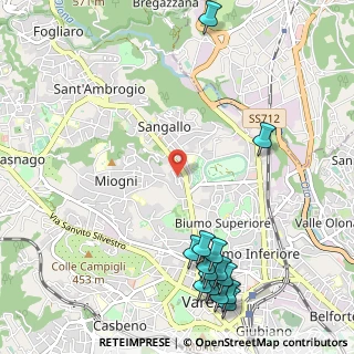 Mappa Via dei Carantani, 21100 Varese VA, Italia (1.44357)