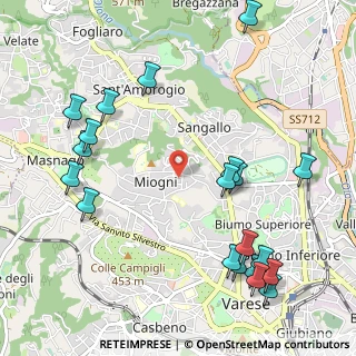 Mappa Via Montello, 21100 Varese VA, Italia (1.311)