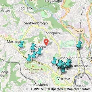 Mappa Via Montello, 21100 Varese VA, Italia (1.2555)