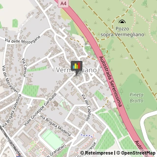 Podologia - Studi e Centri,34077Gorizia