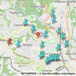 Mappa Viale Gianbattista Aguggiari, 21100 Varese VA, Italia (1.2595)