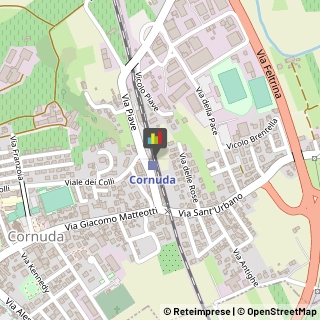 Locali, Birrerie e Pub,31041Treviso