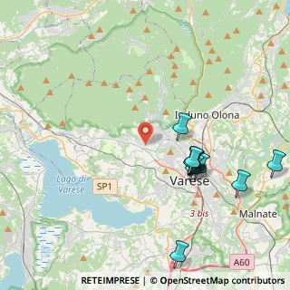 Mappa Via Alesini Luigi, 21100 Varese VA, Italia (4.2)
