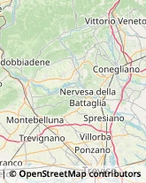 Articoli per Ortopedia San Vendemiano,31020Treviso