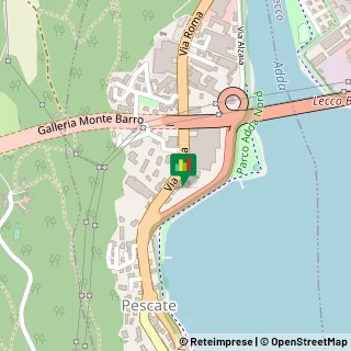 Mappa Via Roma, 57, 23855 Pescate, Lecco (Lombardia)