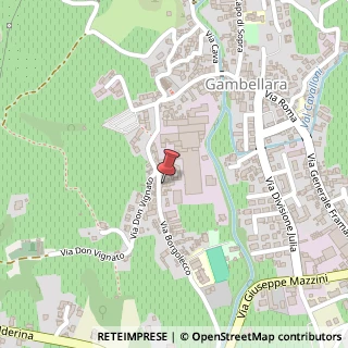 Mappa Via Borgolecco, 31, 36053 Gambellara, Vicenza (Veneto)