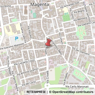 Mappa Via Crivelli, 25, 20013 Magenta, Milano (Lombardia)