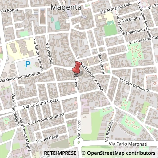 Mappa Via Crivelli, 10, 20013 Magenta, Milano (Lombardia)