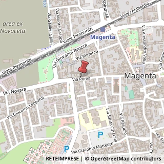 Mappa Via Roma, 132, 20013 Magenta, Milano (Lombardia)