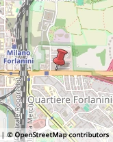 Viale Enrico Forlanini, 23,20134Milano