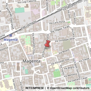 Mappa Via Giuseppe Fornaroli, 30, 20013 Magenta, Milano (Lombardia)