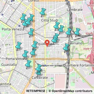 Mappa Via Reina, 20133 Milano MI, Italia (1.0805)