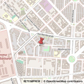 Mappa Via Privata Piero Martinetti, 25, 20147 Milano, Milano (Lombardia)