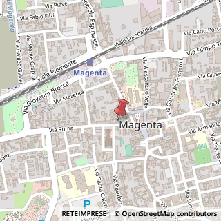 Mappa Via Roma, 24, 20013 Magenta, Milano (Lombardia)