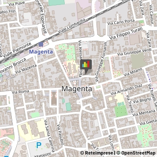 Consulenza Informatica Magenta,20013Milano