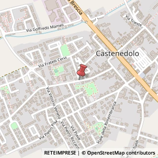 Mappa Via Giosuè Carducci,  48, 25014 Castenedolo, Brescia (Lombardia)