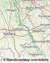 Vivai Piante e Fiori Novara,28100Novara