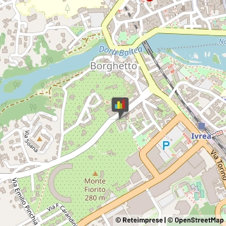 Consulenza Informatica,10015Torino