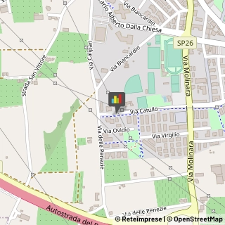 Fisiokinesiterapia - Medici Specialisti Bussolengo,37012Verona