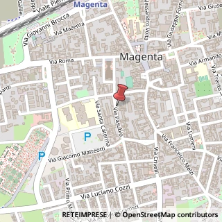 Mappa Via Pasubio, 3, 20013 Magenta, Milano (Lombardia)