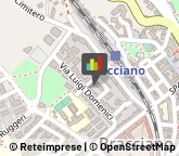 Palestre e Centri Fitness,00062Roma