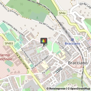 Locali, Birrerie e Pub Bracciano,00062Roma