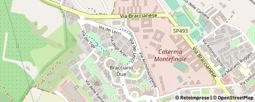 Mappa Bracciano