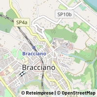 Hartă Bracciano