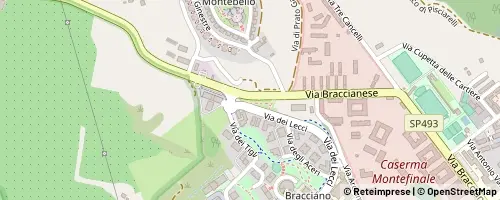 Mappa Bracciano