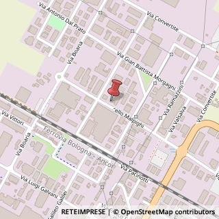 Mappa Via Marcello Malpighi, 14, 48018 Faenza, Ravenna (Emilia Romagna)