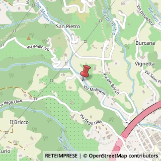 Mappa Via Molinero, 2, 17100 Savona, Savona (Liguria)