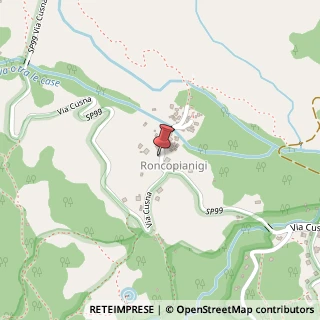 Mappa Via Roncopianigi, 42030 Roncopianigi RE, Italia, 42030 Villa Minozzo, Reggio nell'Emilia (Emilia Romagna)