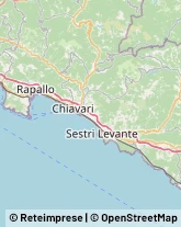 Imprese di Pulizia Deiva Marina,48027La Spezia