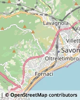 Ortofrutticoltura Savona,17100Savona