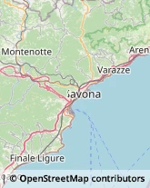 Ortofrutticoltura Varazze,17019Savona