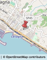 Via Eugenio Sciaccaluga, 2/6,16033Lavagna