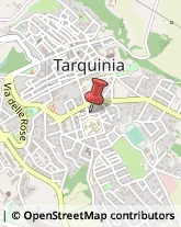 Farmacie Tarquinia,01016Viterbo
