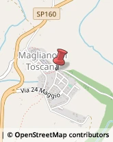 Agenti e Rappresentanti di Commercio Magliano in Toscana,58051Grosseto