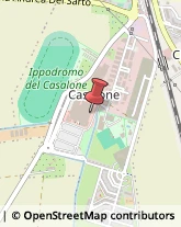 Casalinghi Grosseto,58100Grosseto