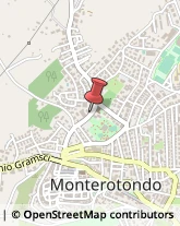 Tour Operator e Agenzia di Viaggi Monterotondo,00015Roma