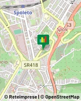 Articoli per Ortopedia Spoleto,06049Perugia